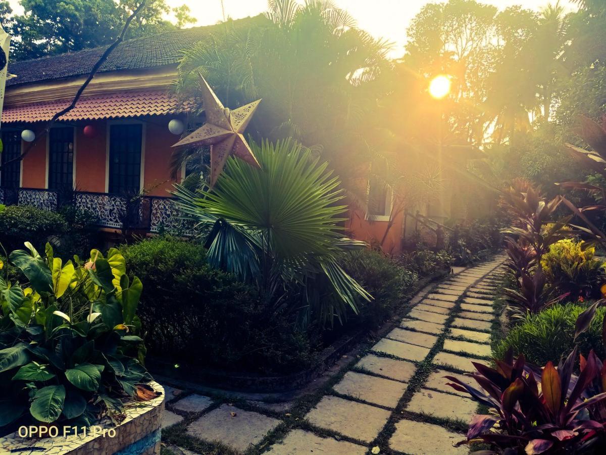 Country Side Inn Portuguese Guest House Cuelim Exteriör bild